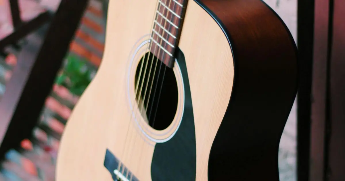 Acoustic Guitar Full Body Cover