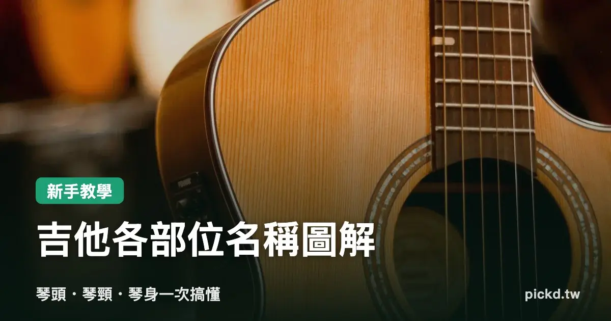 Pickd Guitar Parts Name Cover V2