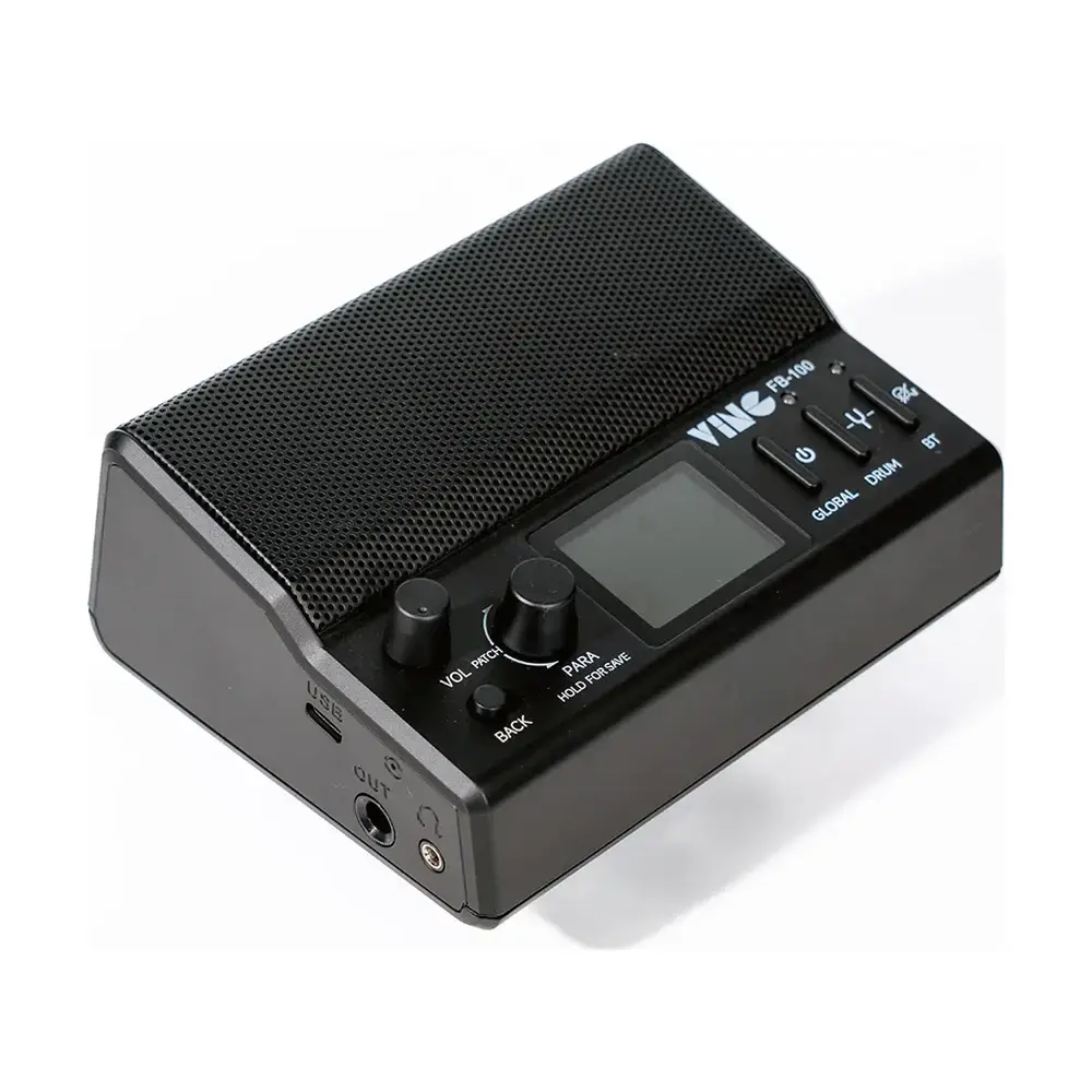 電吉他音箱推薦：VING FB-100 隨身型效果器音箱黑色正面，雙單體喇叭與彩色螢幕